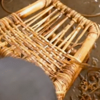 Cane & Bamboo